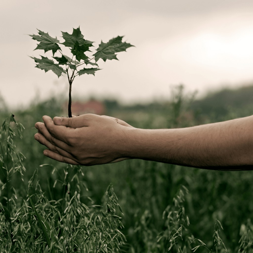 Hydrocarbures et environnement